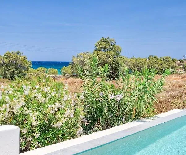 Yialos * Αντίπαρος